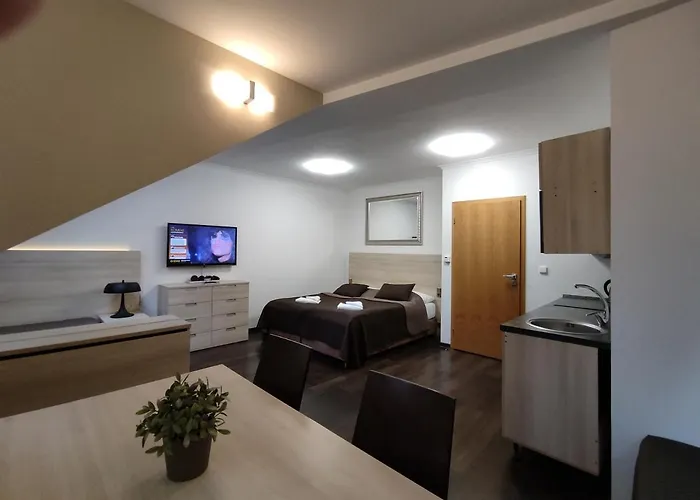 Anensky Apartman C303 - S O2 Tv A Stabilni Rychlou Wifi, S Moznosti Dokoupeni Bufetovych Snidani - By Relax Harrachov