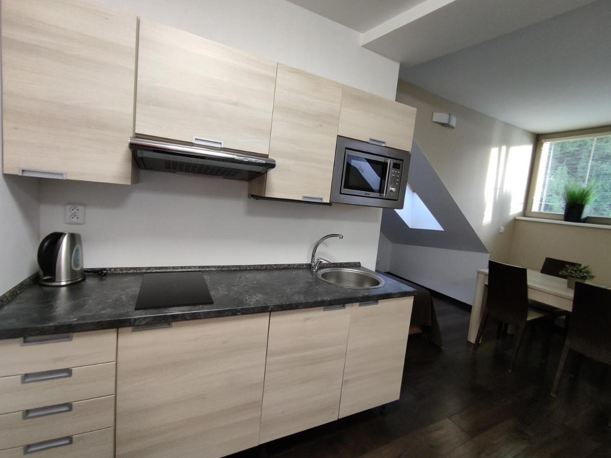 Apartment Anensky Apartman C303 - S O2 Tv A Stabilni Rychlou Wifi, S Moznosti Dokoupeni Bufetovych Snidani - By Relax Harrachov