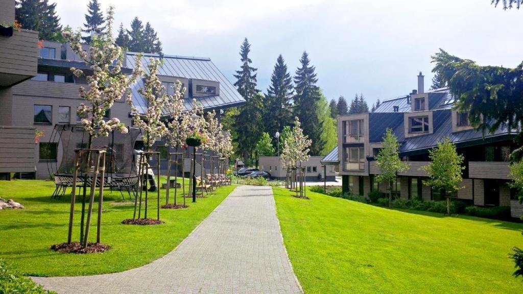 Anensky Apartman C303 - S O2 Tv A Stabilni Rychlou Wifi, S Moznosti Dokoupeni Bufetovych Snidani - By Relax Harrachov Apartment Harrachov